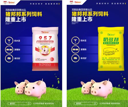 双胞胎集团旗下“猪邦邦”饲料系列产品横空出世，多邦食品再添强劲新军